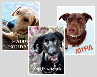 RMLR Holiday Cards