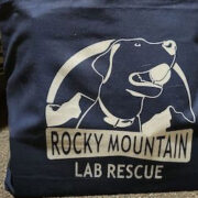 Navy Canvas Tote Bag