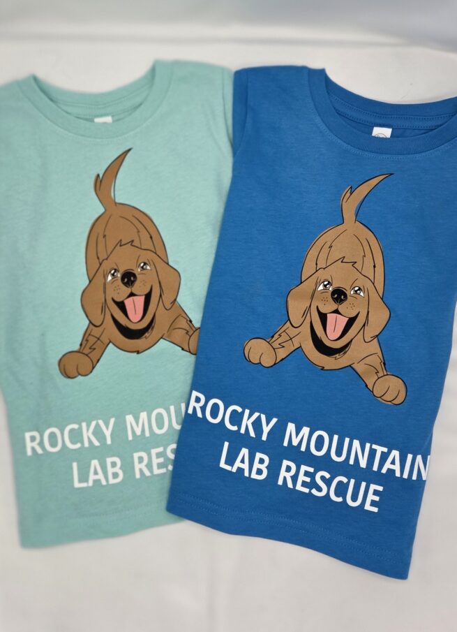 Little Kids T-shirt
