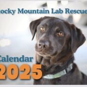 2025 RMLR Calendar