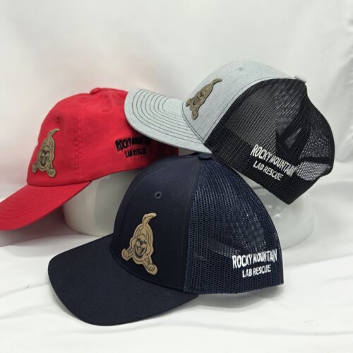 Youth Trucker and Baseball Hat