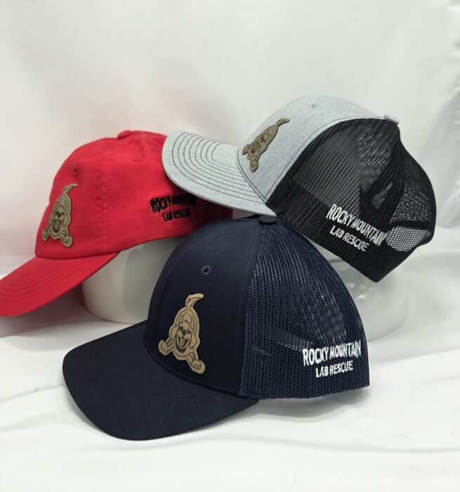 Youth Trucker and Baseball Hat