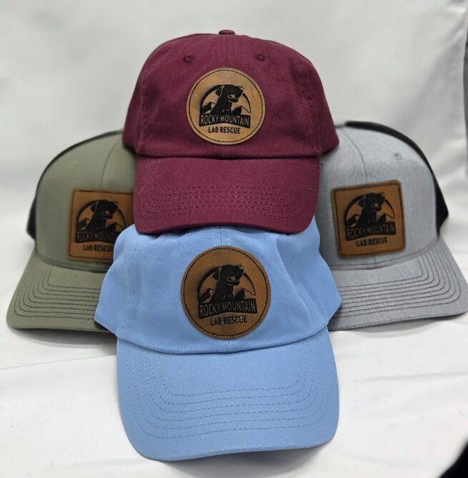 Adult Trucker and Baseball Hat