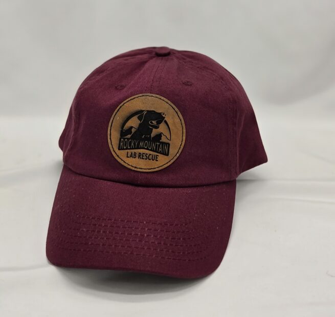 Adult Trucker and Baseball Hat - Image 4