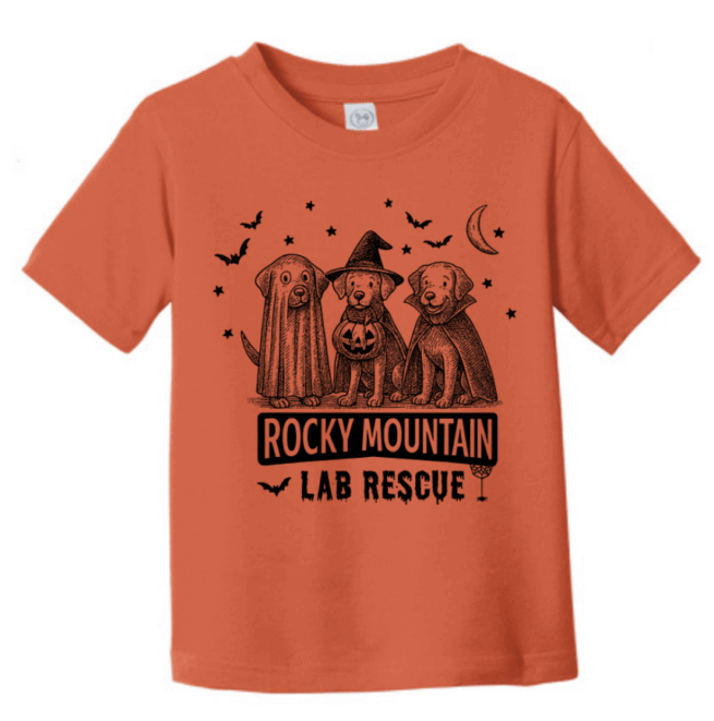 Pre-Order: Limited Edition RMLR Halloween T-Shirt - Image 6